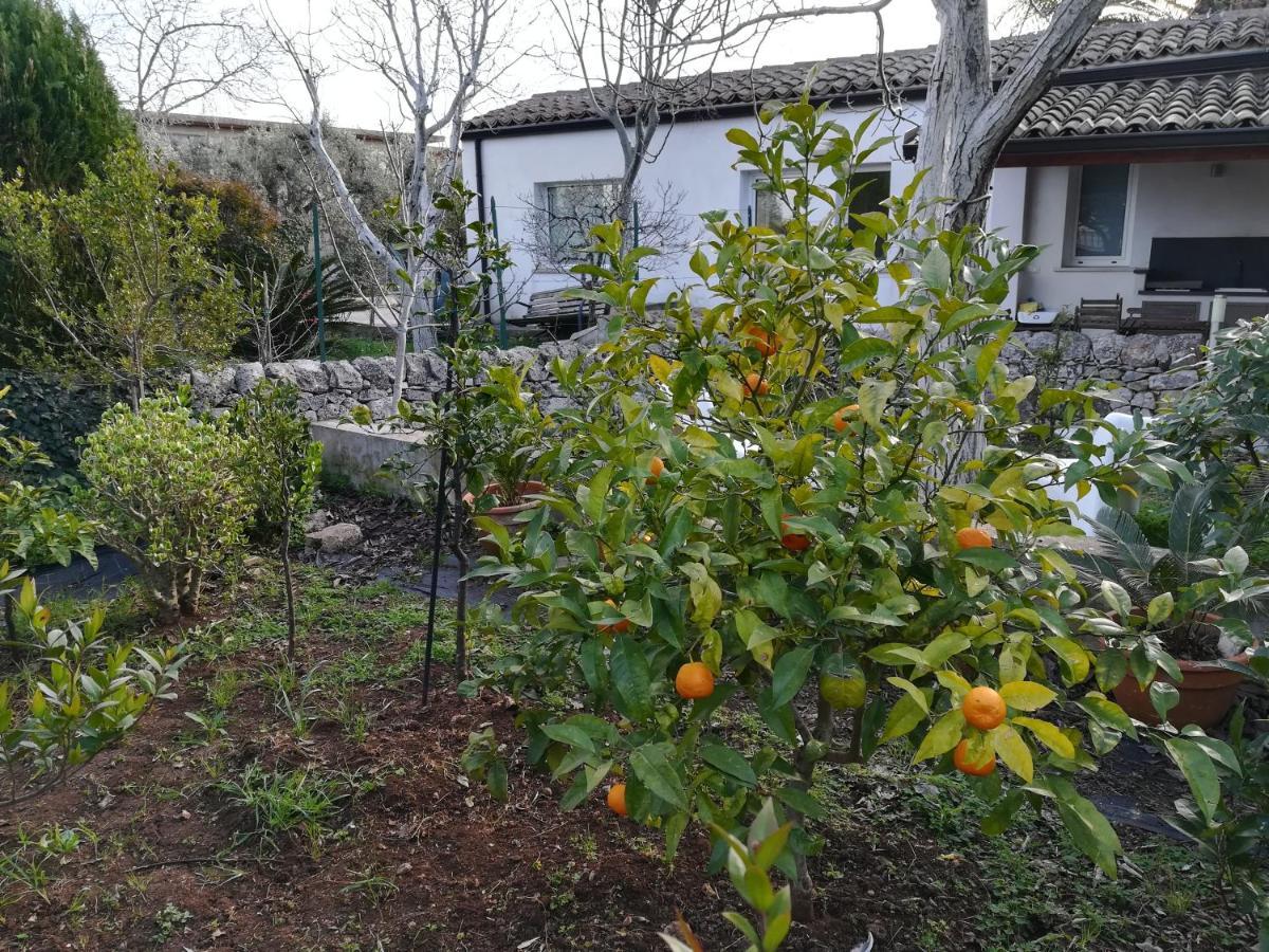 Casa Degli Avi Don Neli, Immersa Nella Natura Modica Exteriör bild