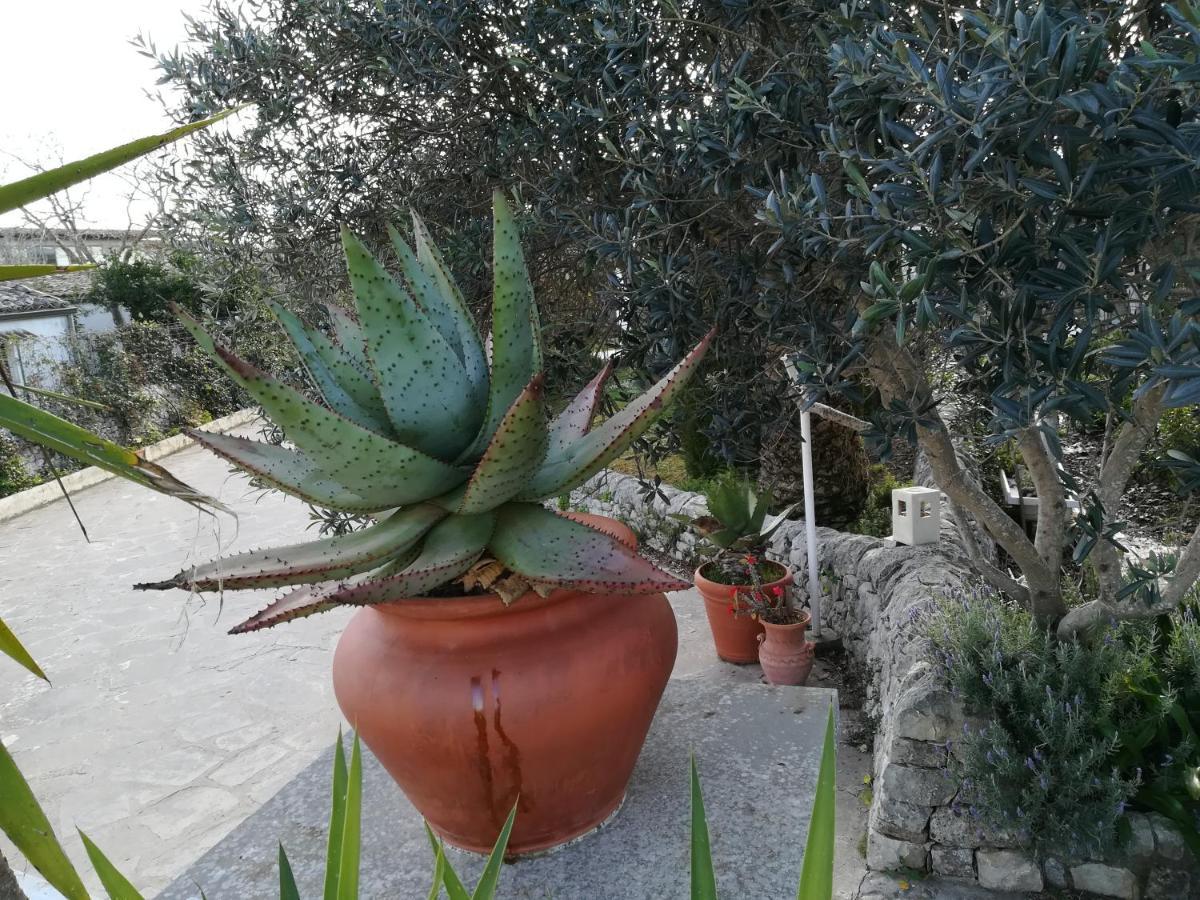 Casa Degli Avi Don Neli, Immersa Nella Natura Modica Exteriör bild
