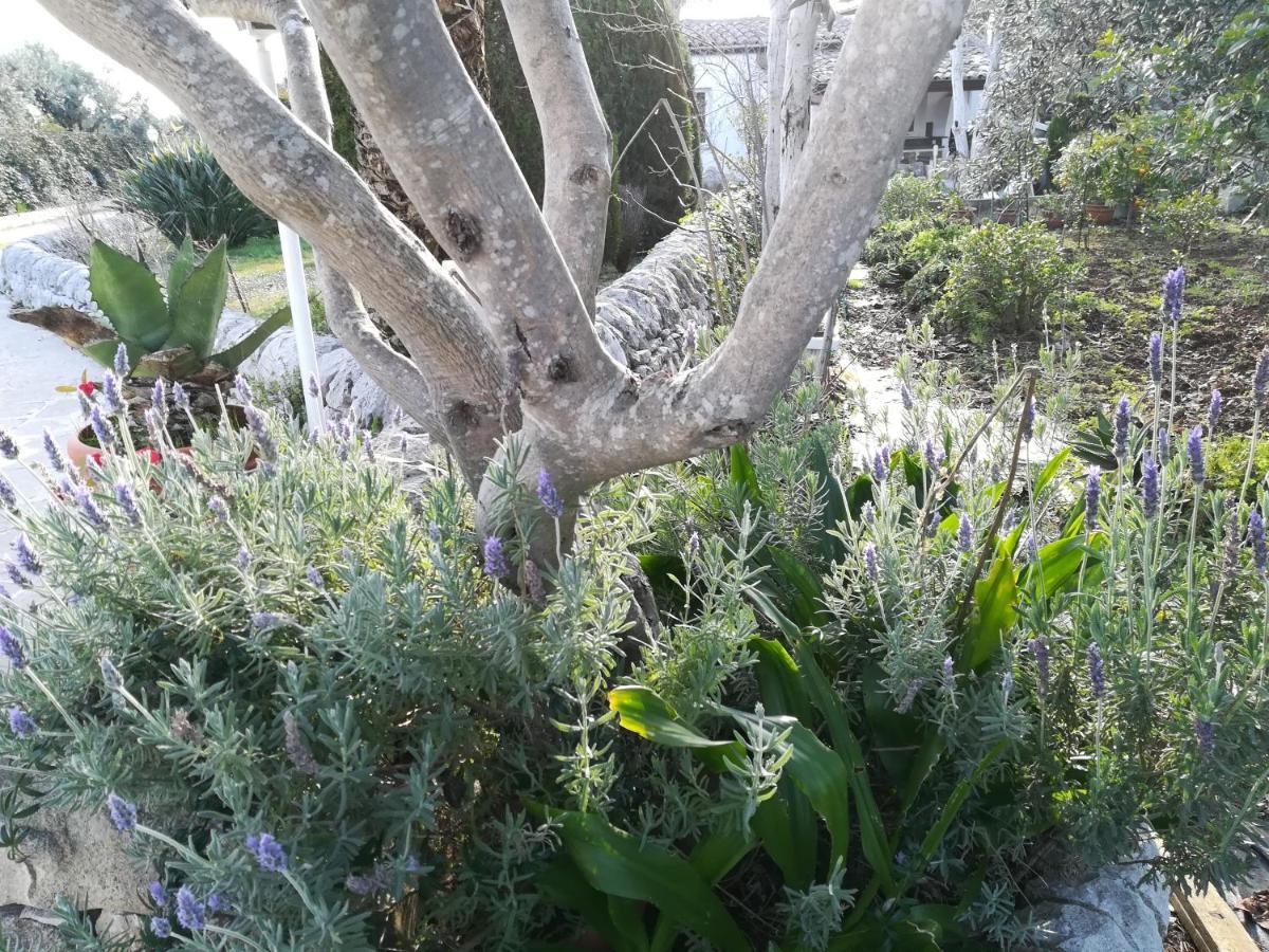 Casa Degli Avi Don Neli, Immersa Nella Natura Modica Exteriör bild