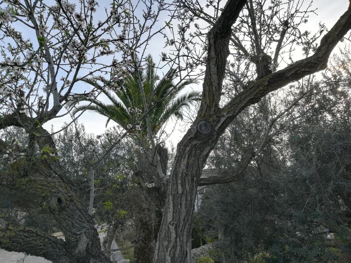 Casa Degli Avi Don Neli, Immersa Nella Natura Modica Exteriör bild